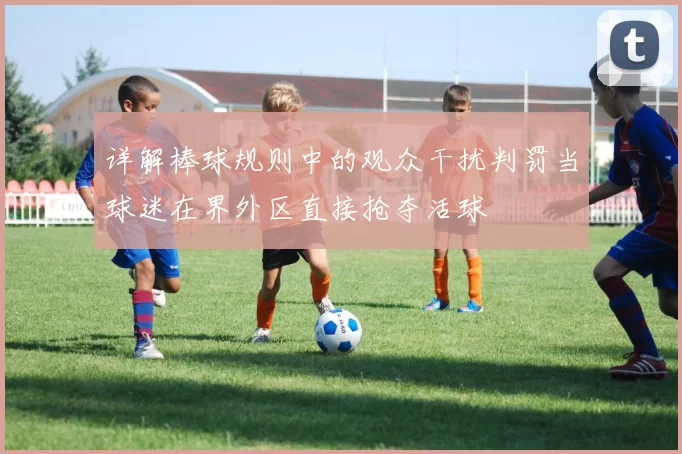 详解棒球规则中的观众干扰判罚当球迷在界外区直接抢夺活球