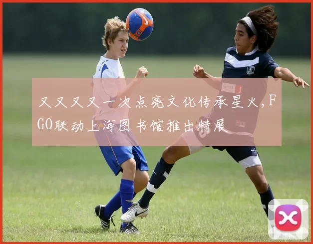 又又又又一次点亮文化传承星火,FGO联动上海图书馆推出特展