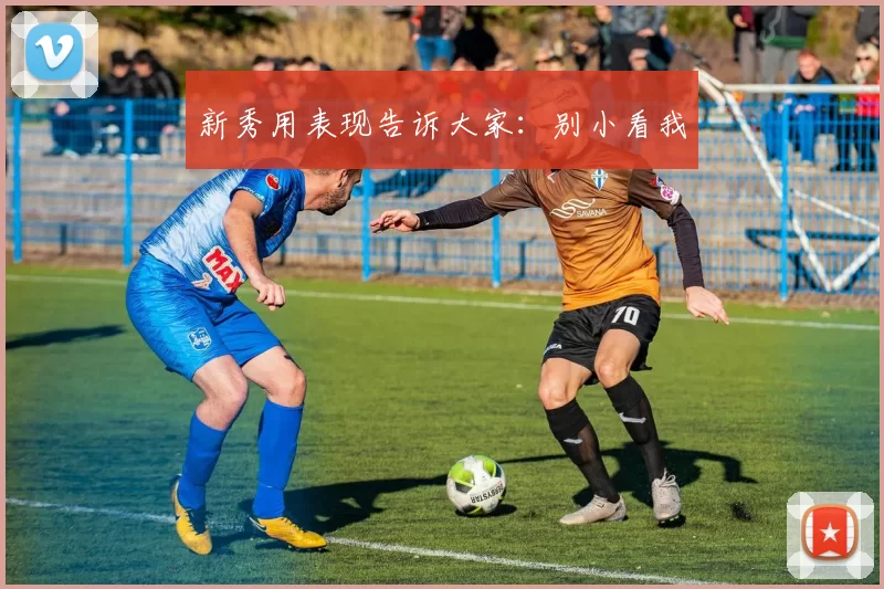 新秀用表现告诉大家：别小看我