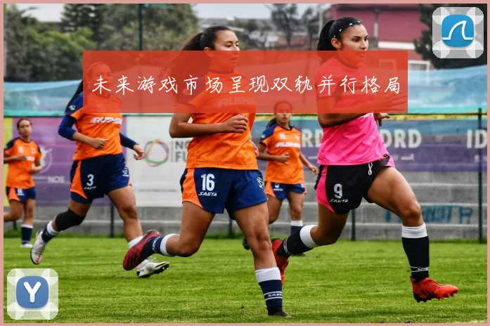 未来游戏市场呈现双轨并行格局