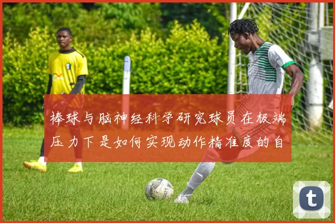 棒球与脑神经科学研究球员在极端压力下是如何实现动作精准度的自动驾驶