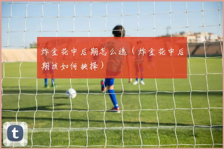 炸金花中后期怎么选（炸金花中后期该如何抉择）