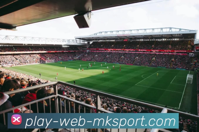 mk体育平台生态图